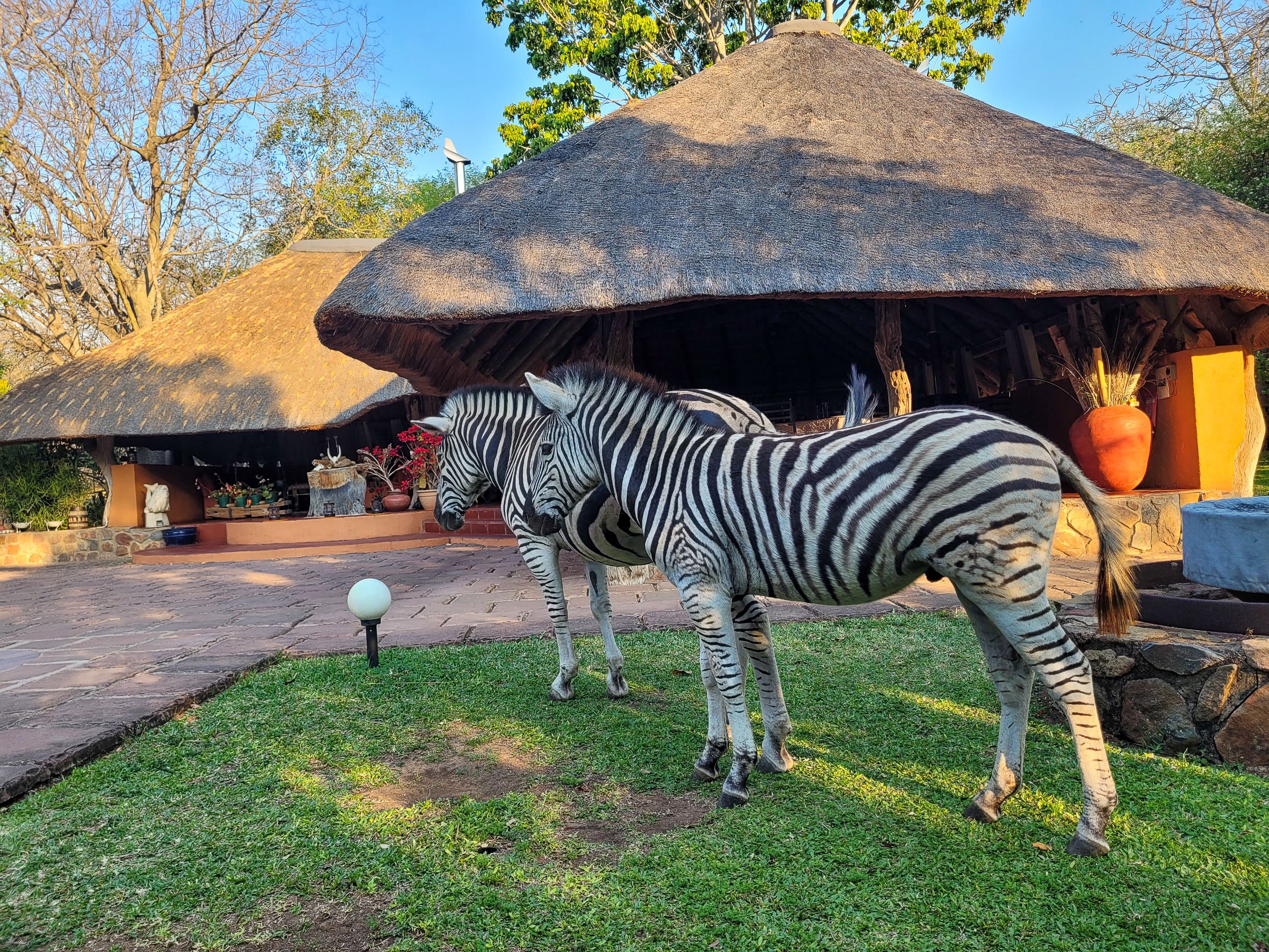 20231007 165509 Fotobuch Südafrika 165508